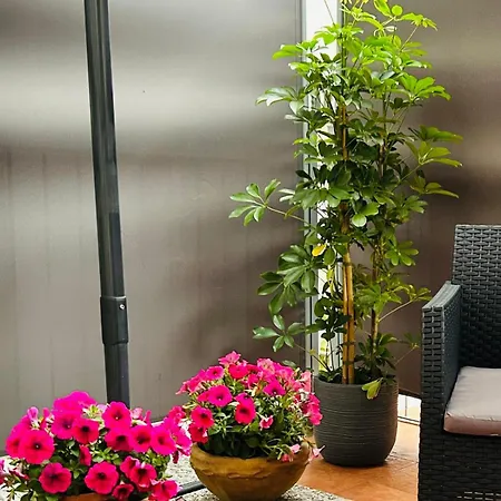 Dr House Appartamento *